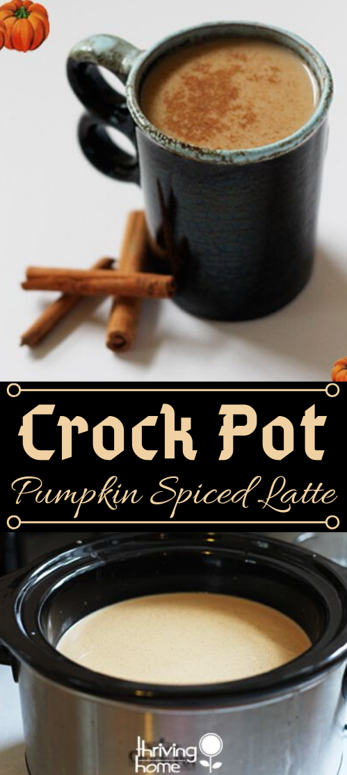 CROCK POT PUMPKIN SPICE LATTE #drink #cocktail #latte #smoothie #party CROCK POT PUMPKIN SPICE LATTE #drink #cocktail #latte #smoothie #party