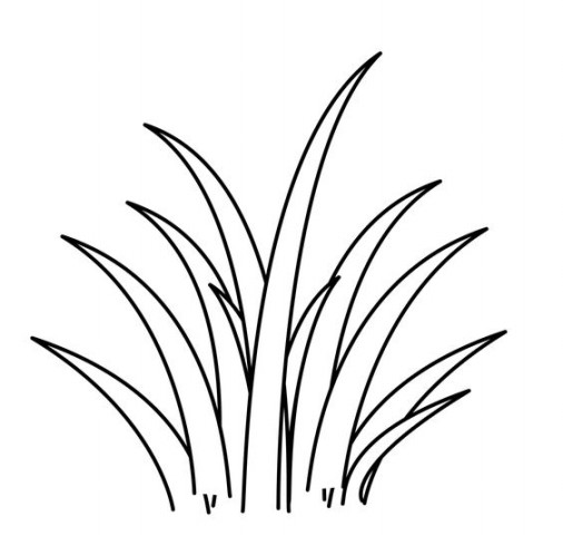 Image Result For Sketsa Taman Image Result For Sketsa Taman