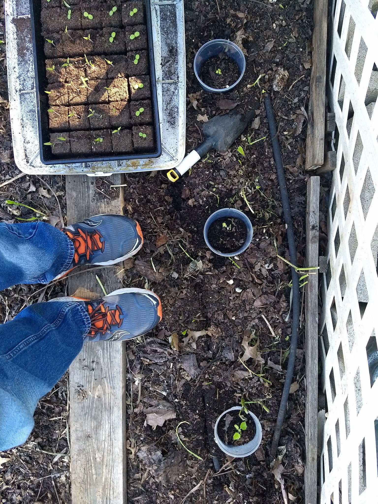 The Scientific Gardener Plant Collars