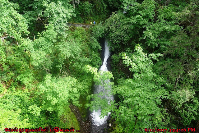 Shepperd's Dell Falls