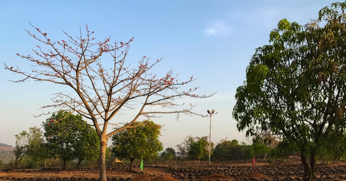 The Royal Enfield Trials 