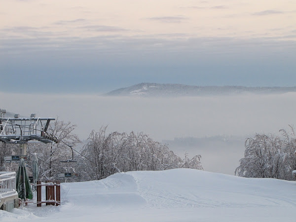 Równica (885 m n.p.m.) z Polany Soszów