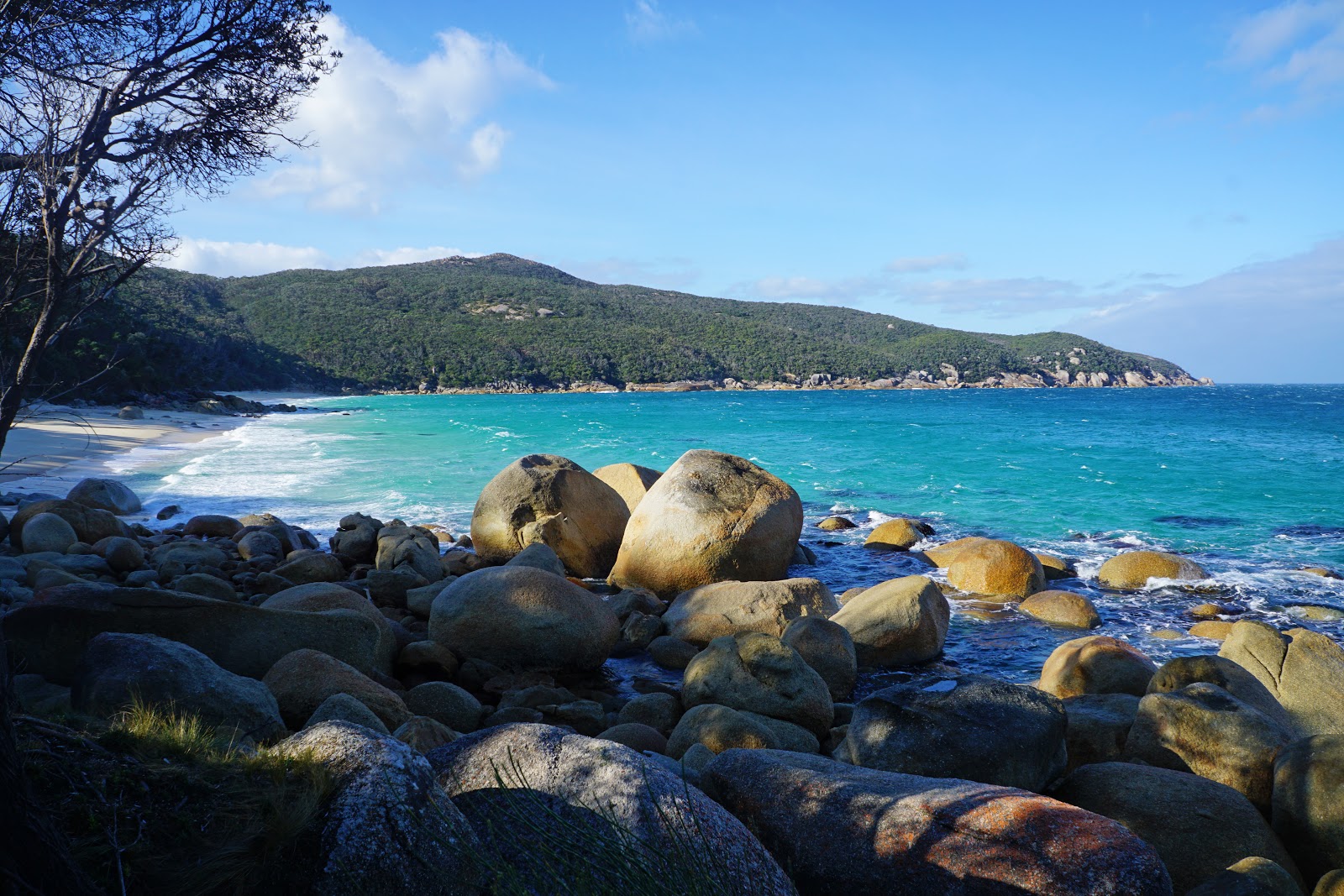 Wilsons Promontory Southern Circuit (VIC) Sealers Cove to Little
