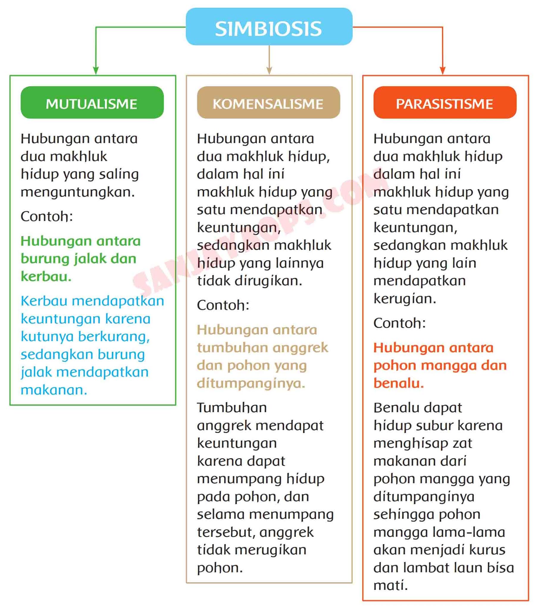 Kunci Jawaban Buku Siswa Tema 5 Kelas 5 Halaman 85 86 87 89 90 Sanjayaops