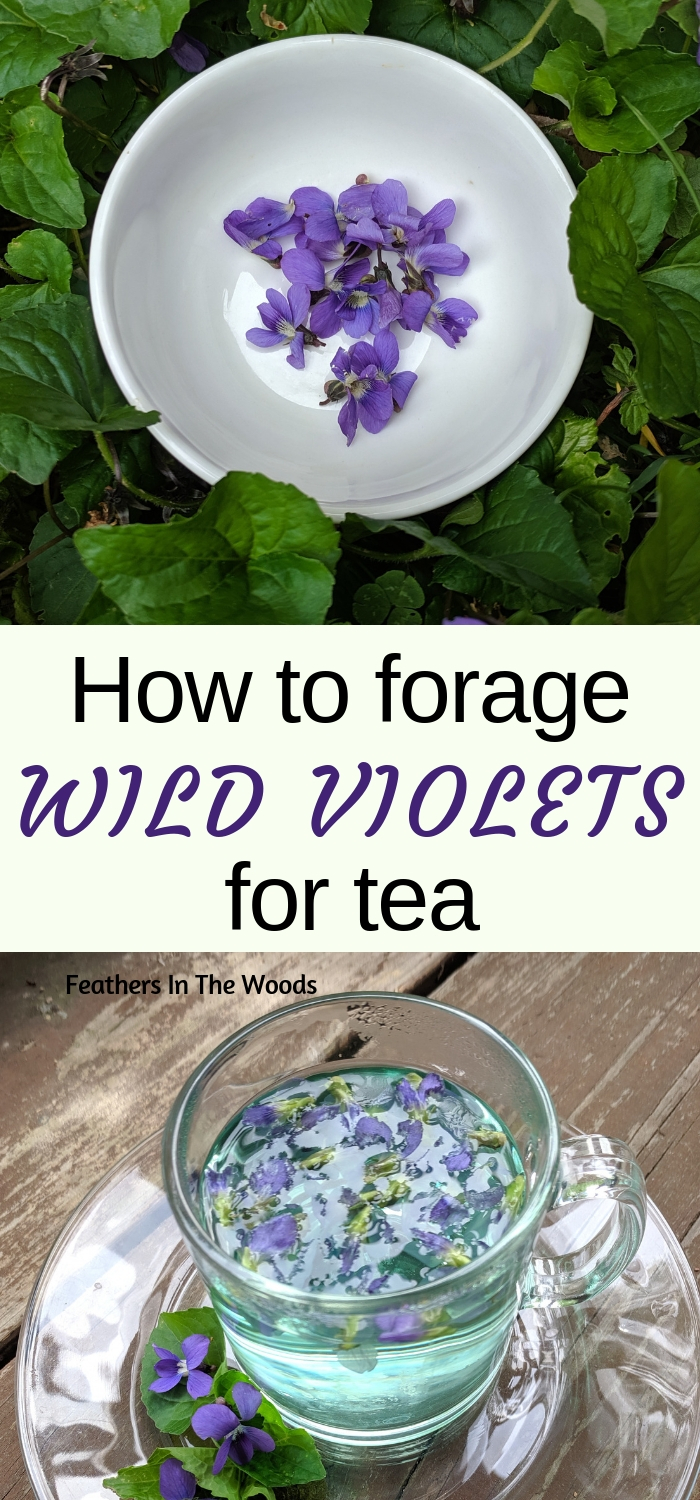 May 2019 Feathers in the woods