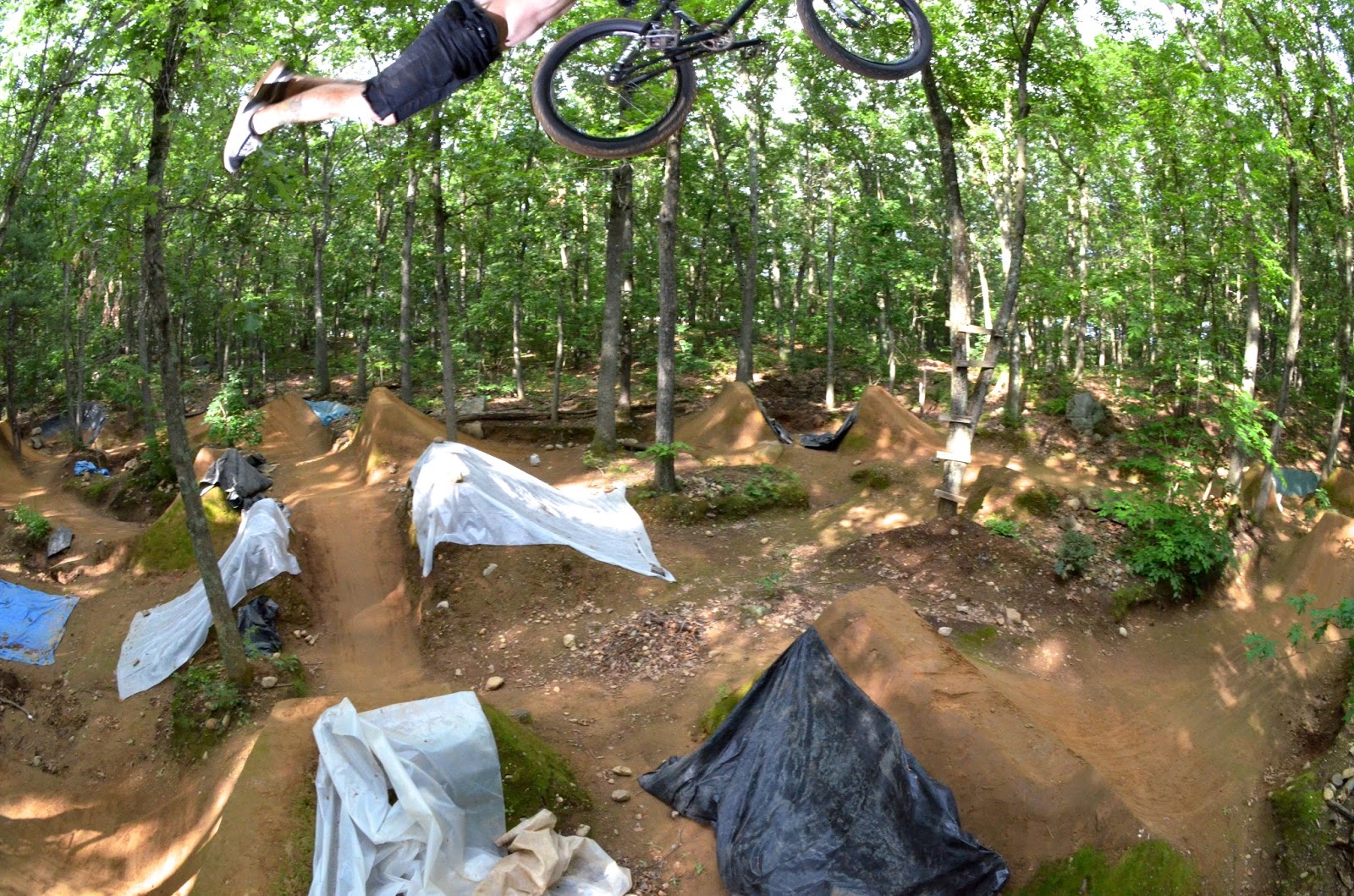 Trails Rule!! Circuit BMX
