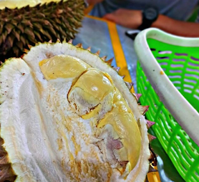  Durian Ucok, Wisata Kuliner Durian Medan Yang Wajib Kamu Coba