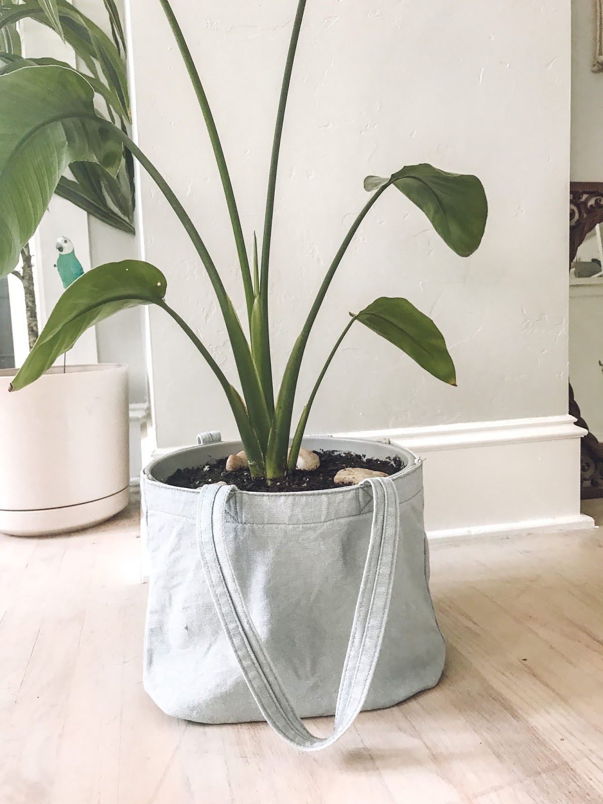 Simple Plant Hack: Cover a Plastic Pot Using a Tote Bag - The Wicker House