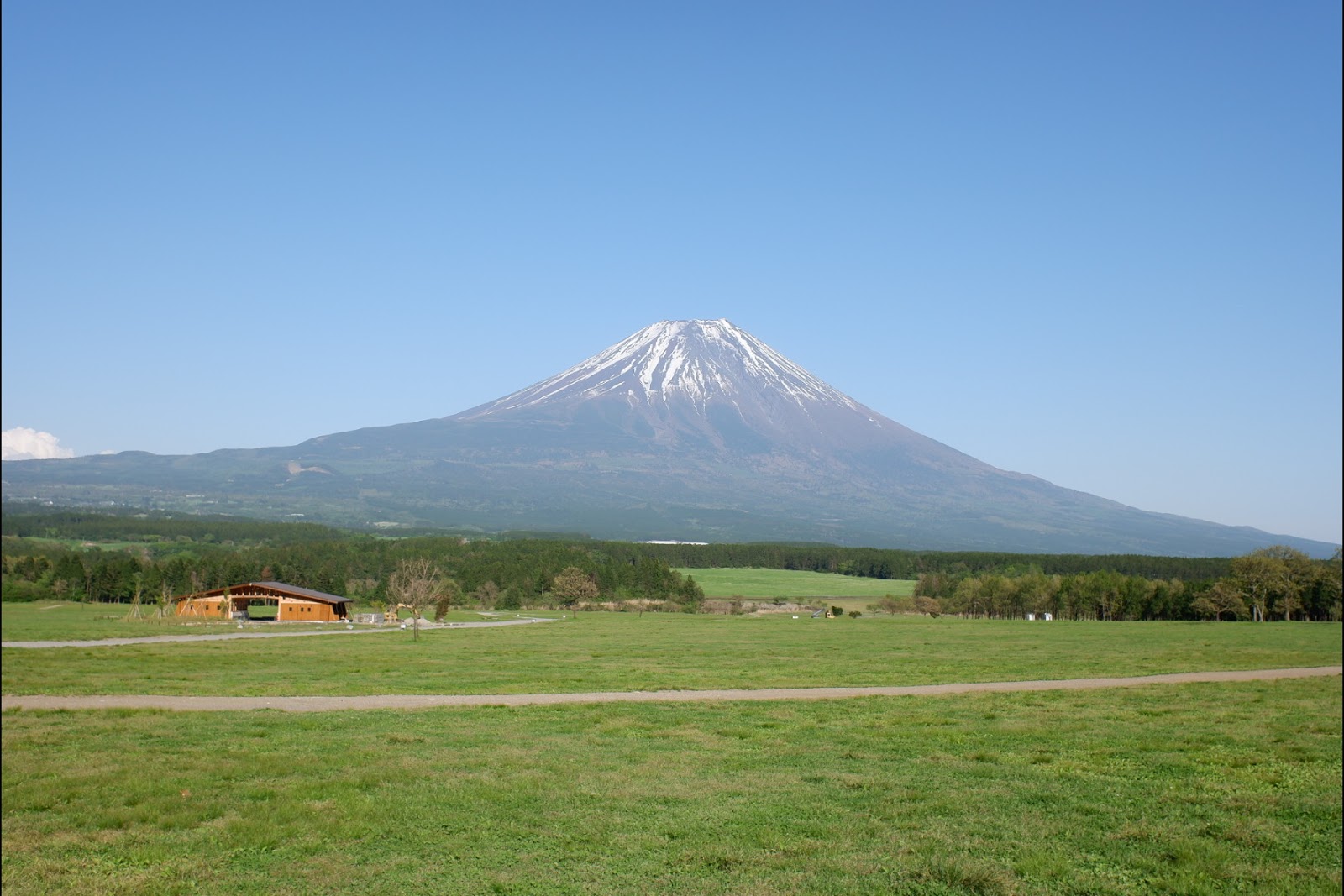 ふもとっぱらblog 春のふもとっぱら