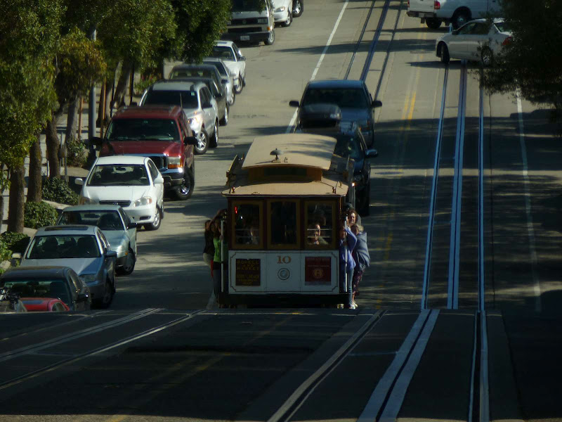 11: Muir Woods - Golden Gate - Driving me ... USA (15)