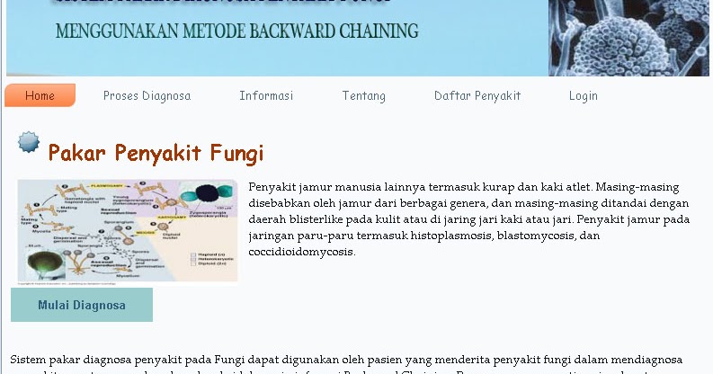 Piramida Skripsi Sistem Pakar Diagnosa Penyakit Fungi Dengan Menggunakan Metode Backward Chaining Dengan Php Mysql