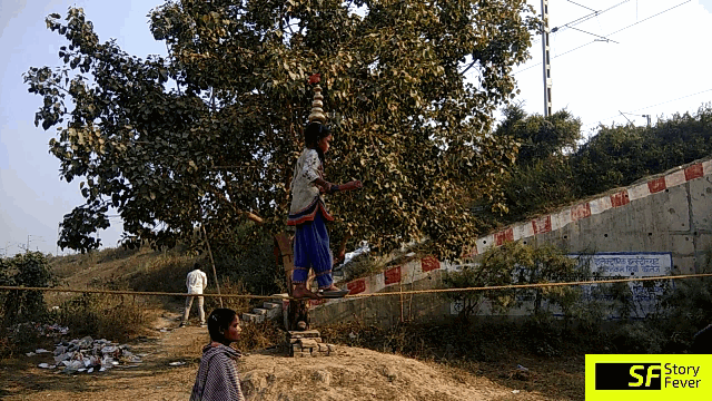 Sonpur Mela
