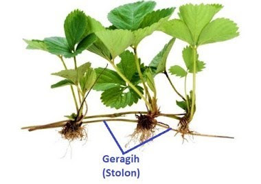 Blog Informasi Pendidikan