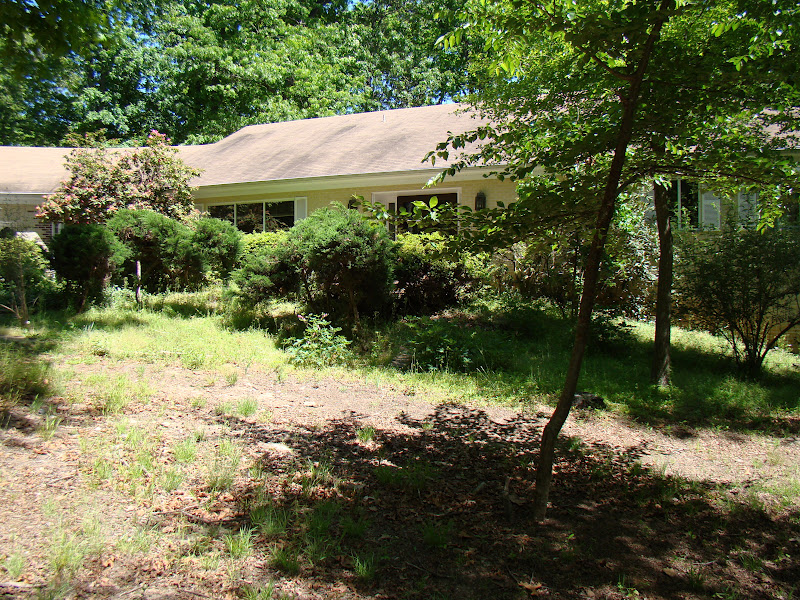 The Yuppie Life: De-bushing the Front Yard