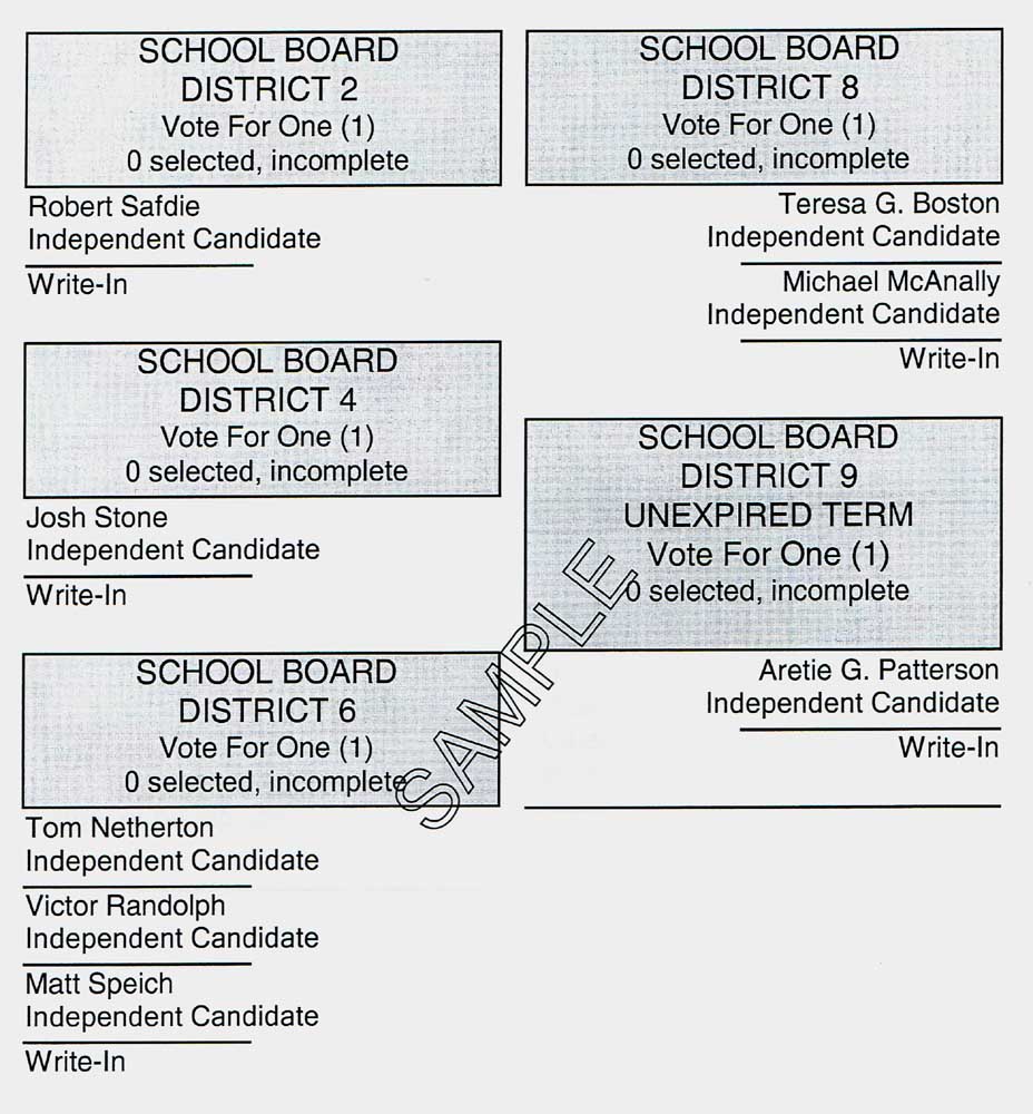 Jim Young Reporter Early Voting continues through July 30 for August 4