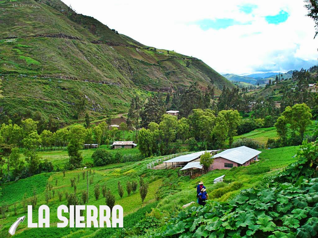 El Sierra Asking List