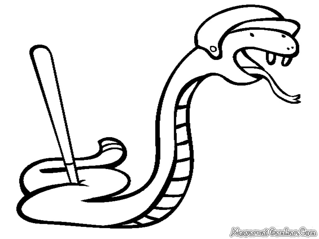 gambar mewarnai binatang ular