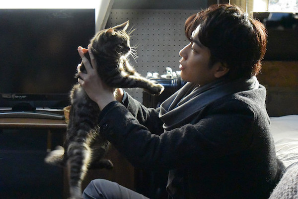 synopsis of if cats disappeared from the world synopsis of if cats disappeared from the world