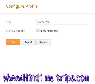 hindimetrips.blogspot.com