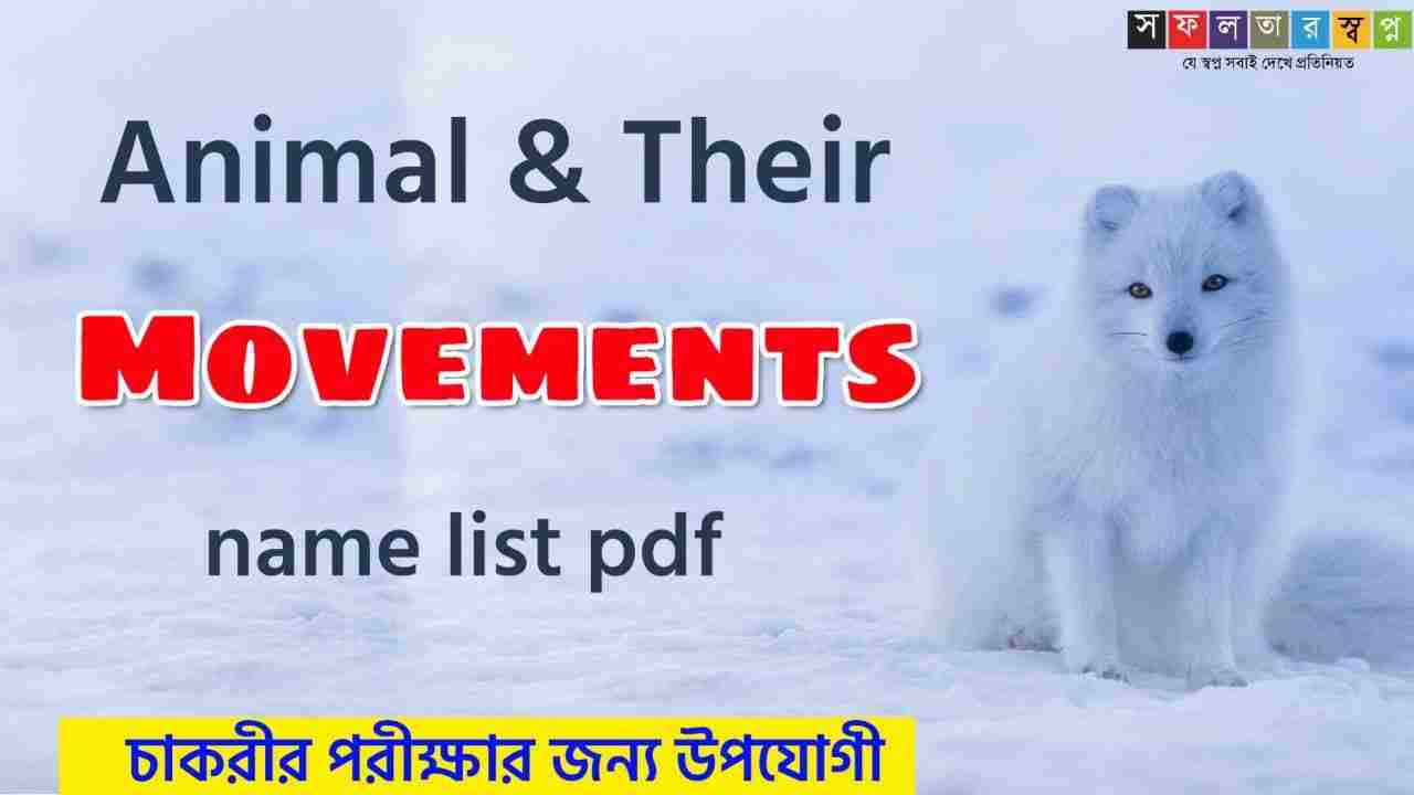 Animals and Their Movements Name List PDF