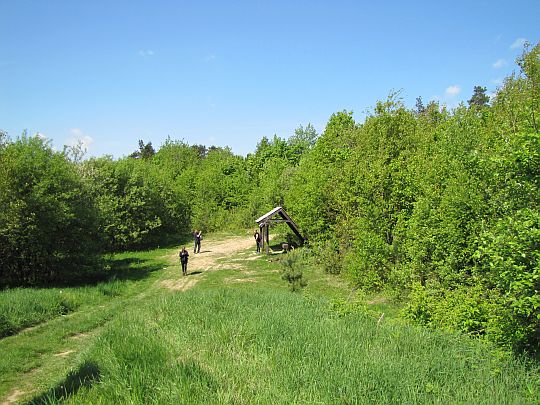 Wychodzimy z zarośli młodnika na niewielką polankę, gdzie stoi drewniana wiata.