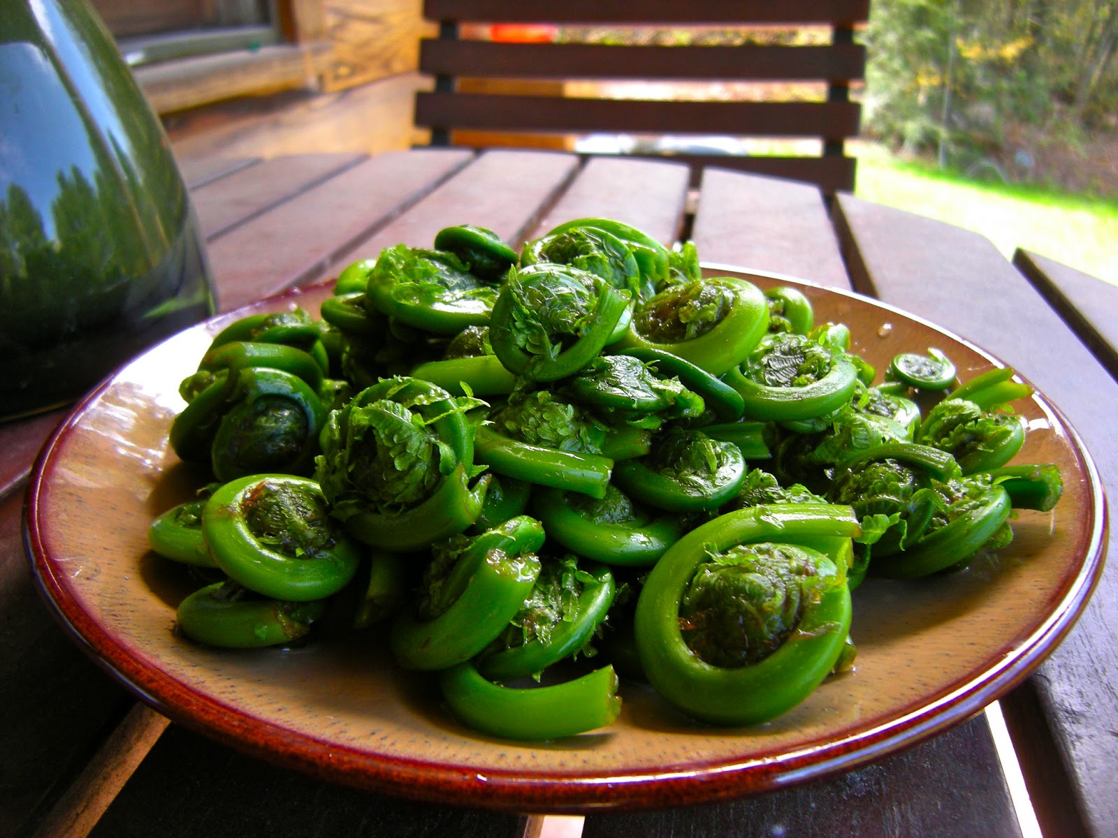 Lettuce Turnip the Beet Wildcrafting Ramps & Fiddleheads