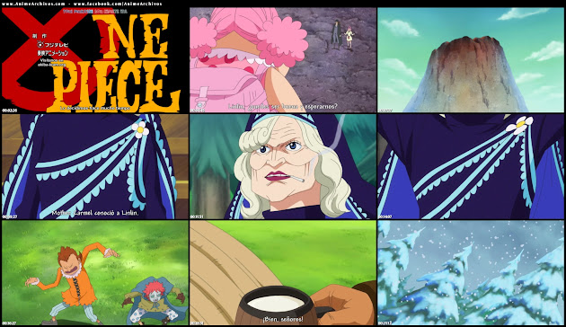 One Piece 836