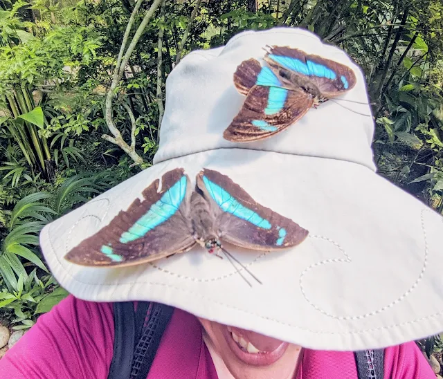 Visiting the Costa Rica Butterfly Conservancy