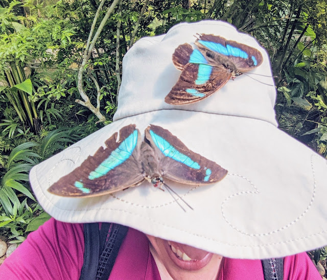 Visiting the Costa Rica Butterfly Conservancy Visiting the Costa Rica Butterfly Conservancy