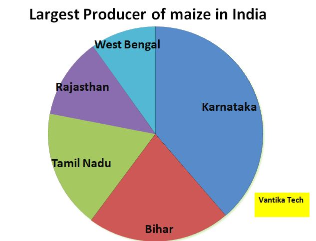 Largest Producer of Maize in India