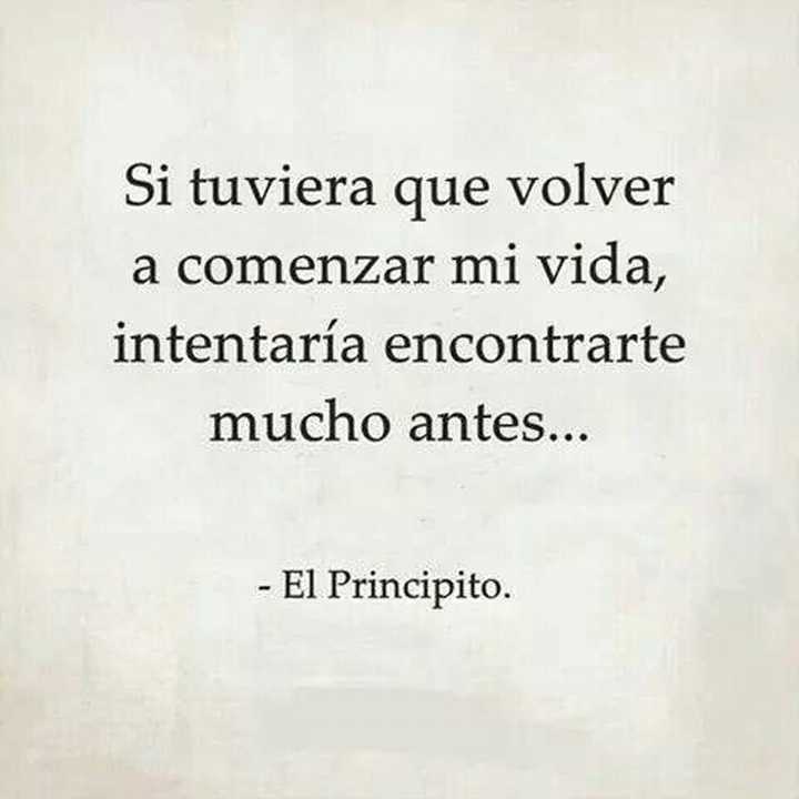 The Nicest Pictures: el principito