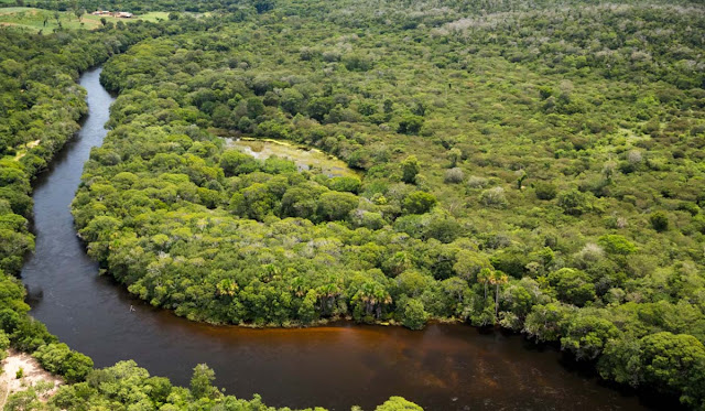 Bahia cria mais sete RPPNs e dobra área de reserva particular no estado