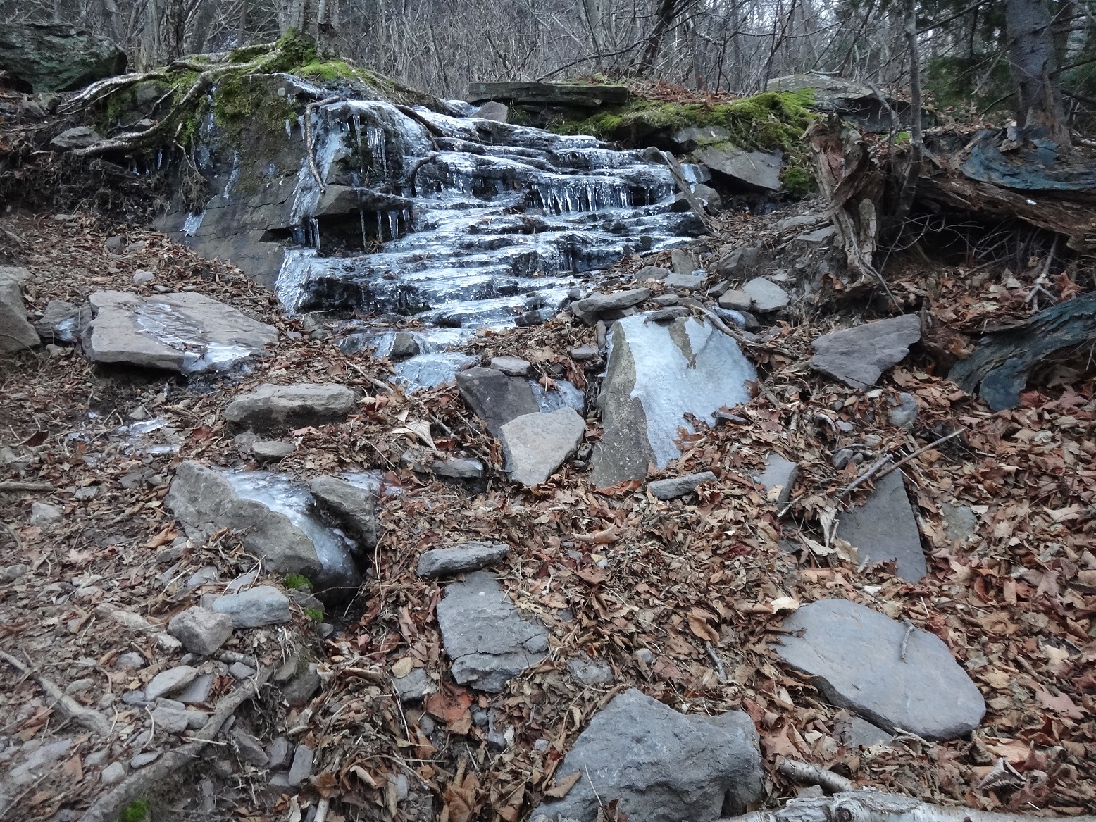 Hiking: Devil's Path Challenge, Catskill Mountains, NY