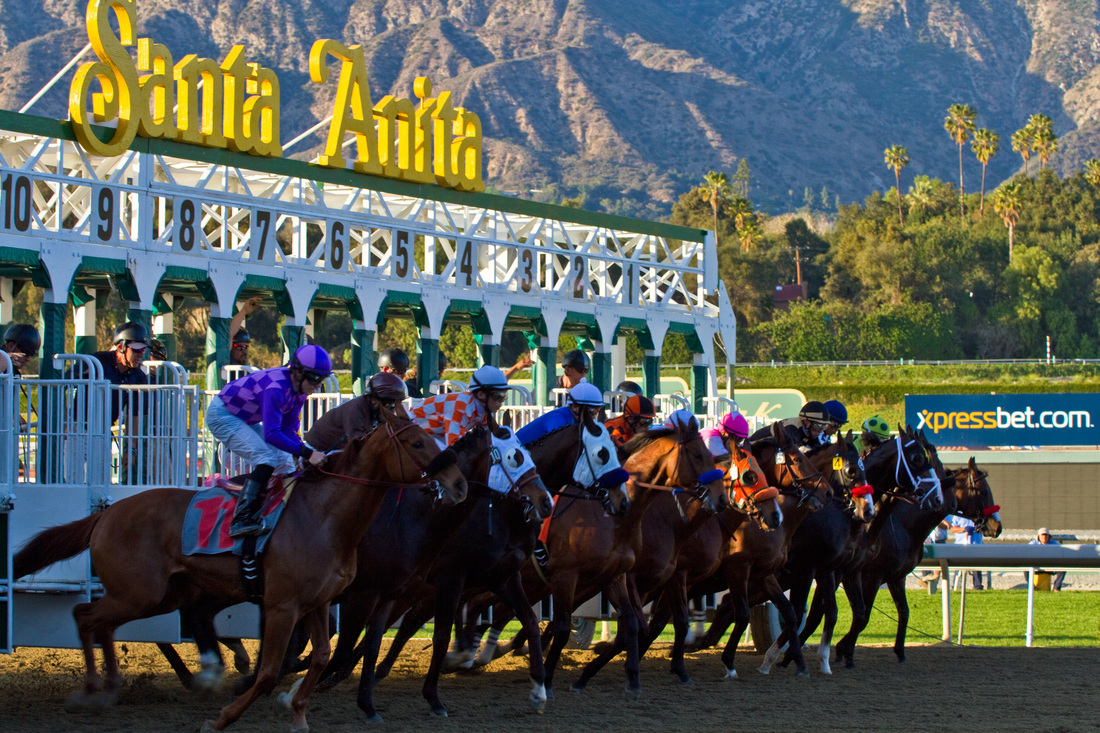 ThoroFan Blog Handicapper's Corner 2021 Santa Anita Handicap (G1)