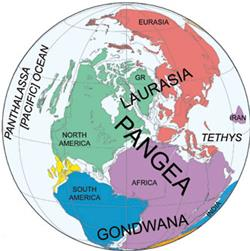 Gambar Ilustrasi Pangea