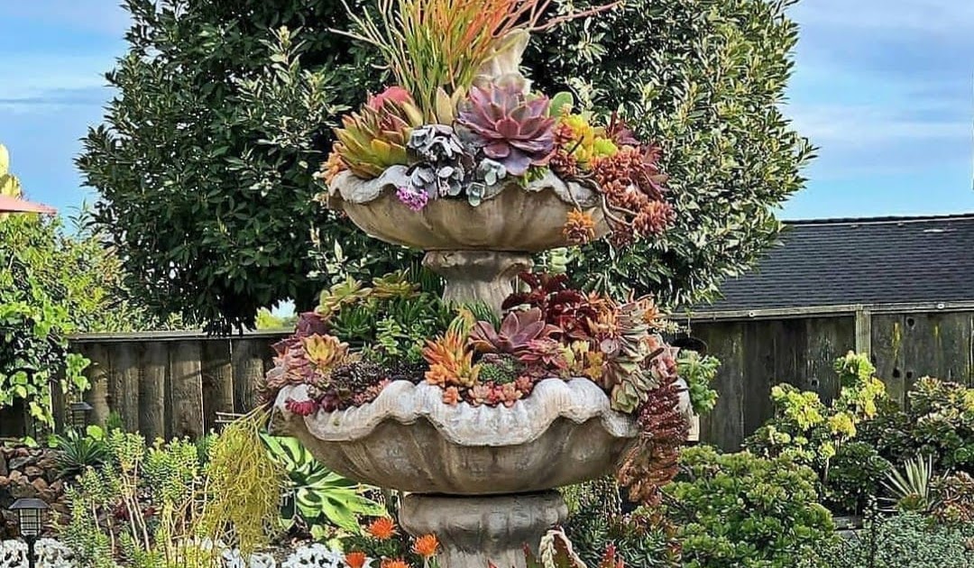 JARDINERAS DE MADERA