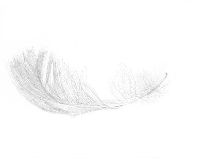 Falling Feathers collection by Jovian Mandagie for Zalora