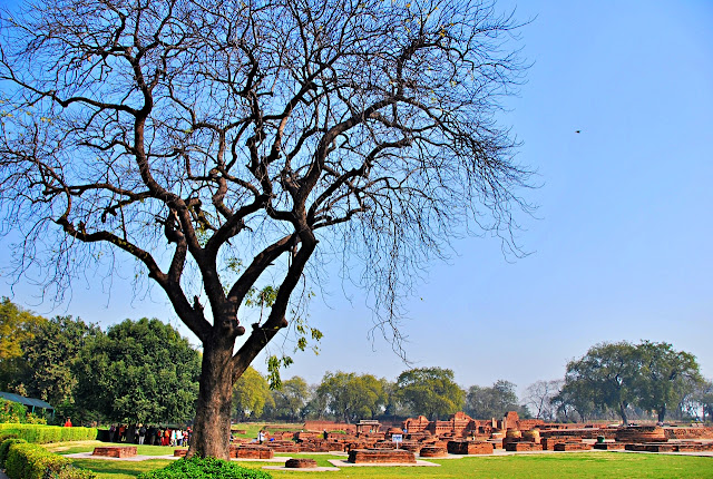 Tania Maria Gonzalez in Sarnath