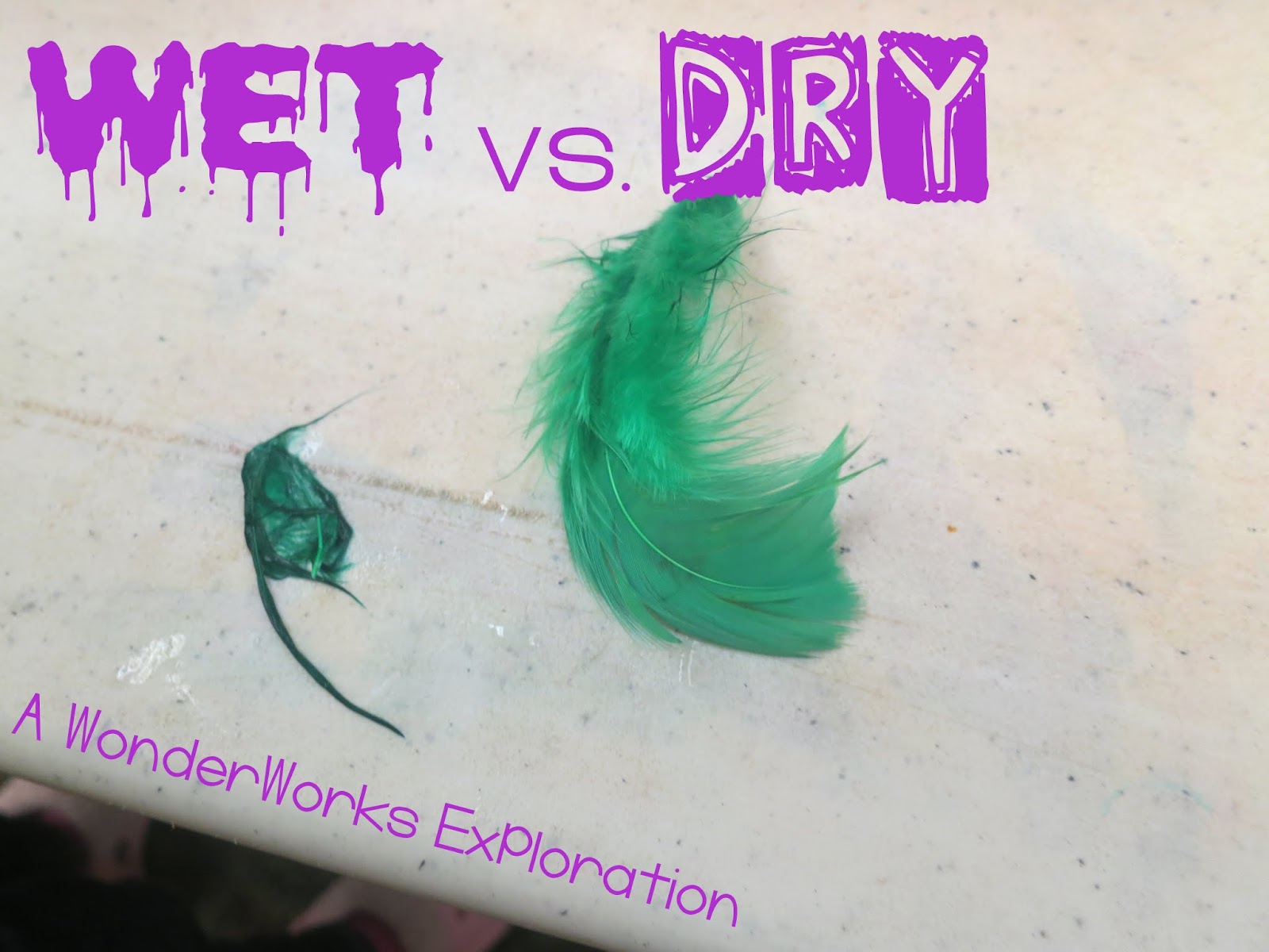 WonderWorks: Wet vs. Dry : library makers