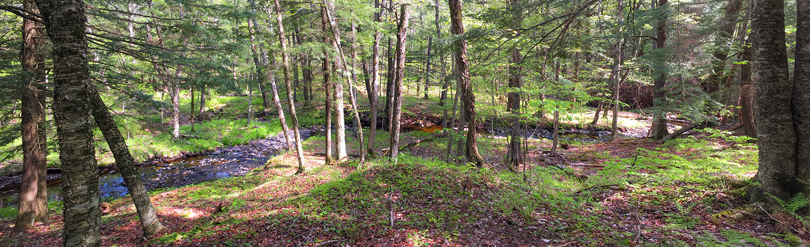 Along the Turtle Rock Segment of the Ice Age National Trail