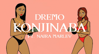 Dremo ft Naira Marley %25E2%2580%2593 Konjinaba Visualizer Lyrics