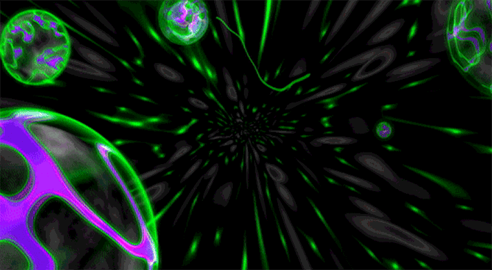 리니지 프리서버 비타민서버