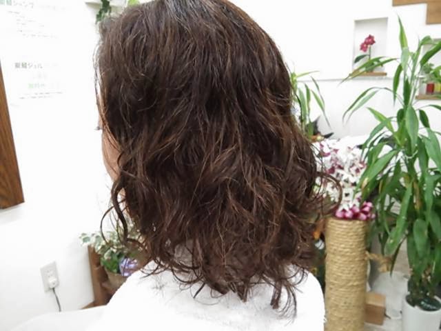 太田美容室 パーマ料金