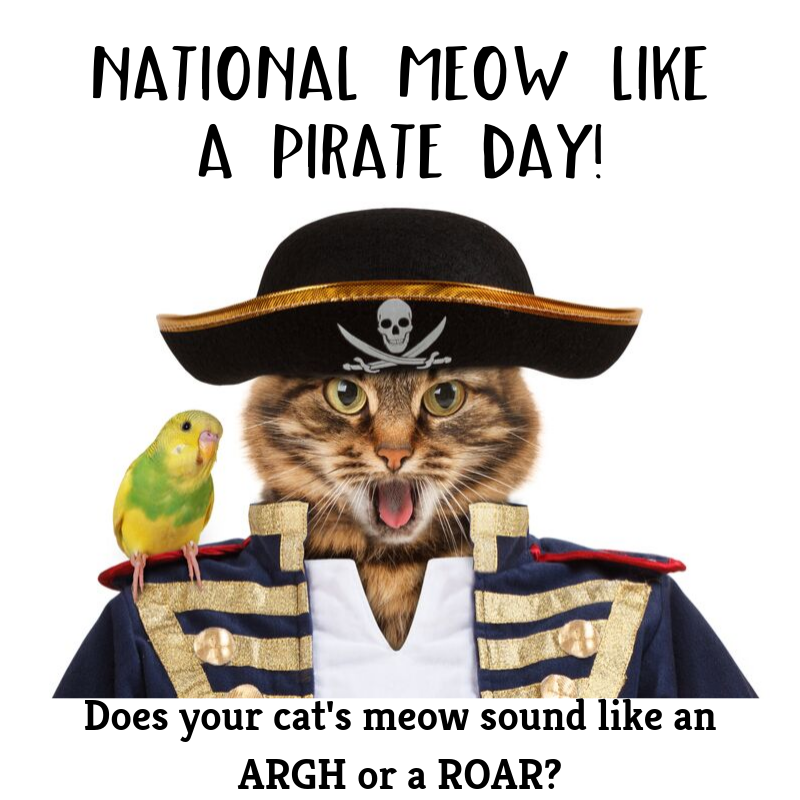 National Meow Like a Pirate Day