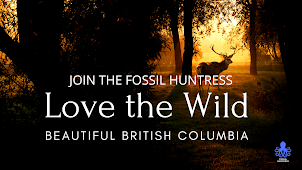 LOVE THE WILD: EXPLORING BRITISH COLUMBIA