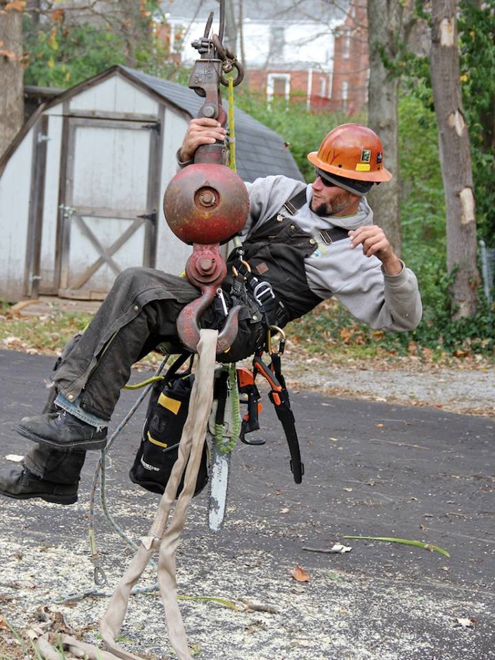 MEC&F Expert Engineers OSHA opens investigation into death of tree