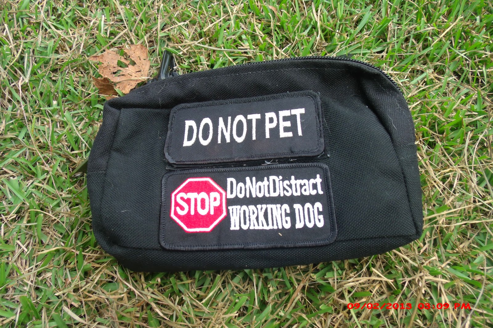 wiredog vest