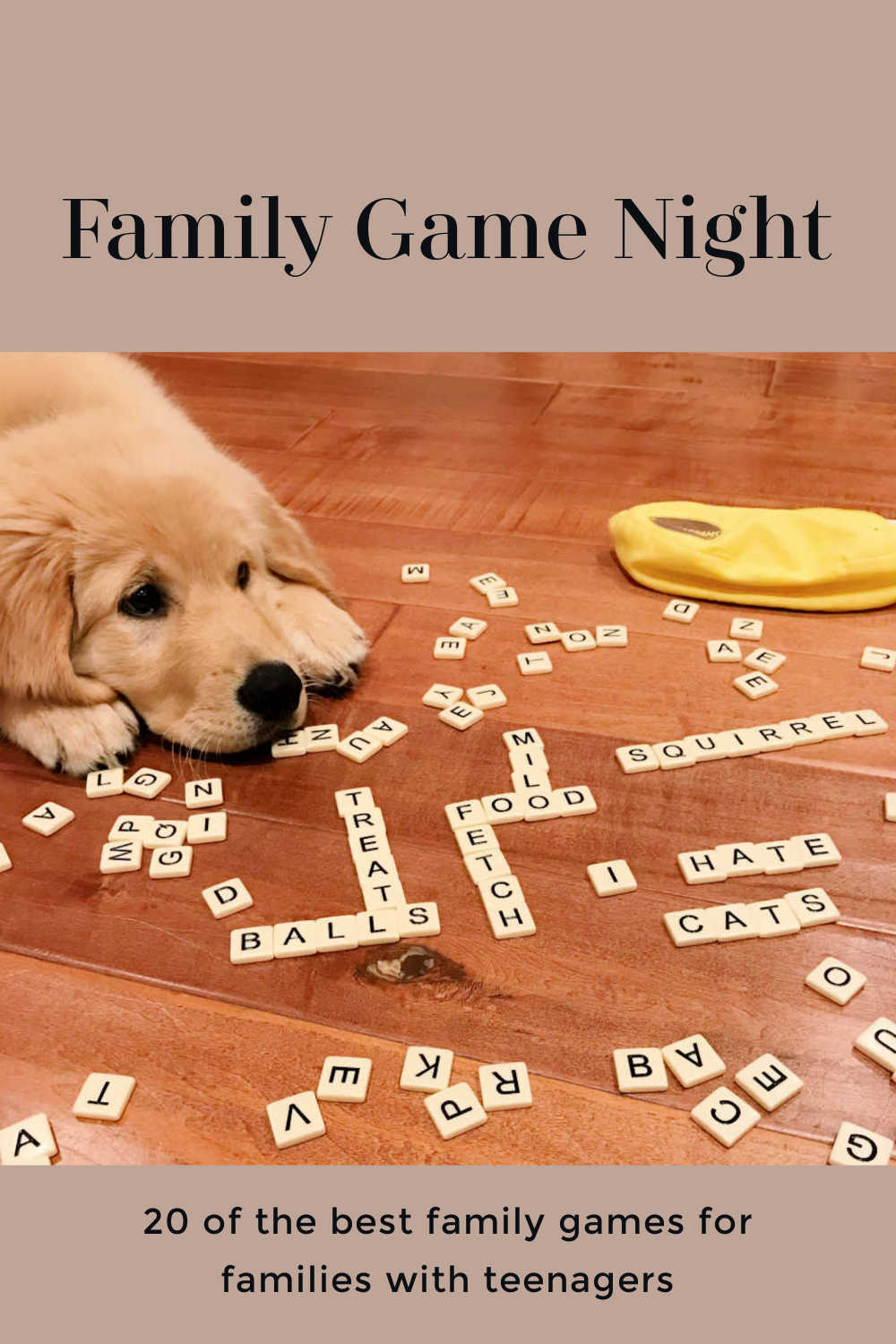 20 of The Best Family Board Games for Teens