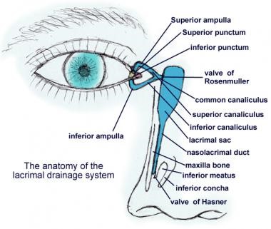 I HATE Postural Orthostatic Tachycardia : SJOGREN'S SYNDROME AND THE