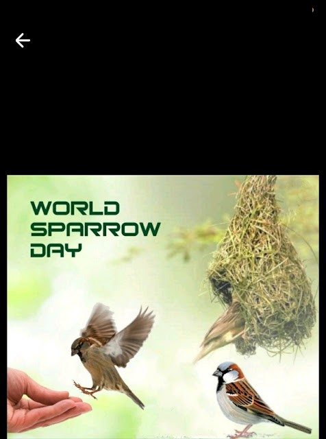 World Sparrow Day Quotes Images,  World Sparrow Day Status Images,  World Sparrow Day Quotes Photos,  World Sparrow Day Status Photos